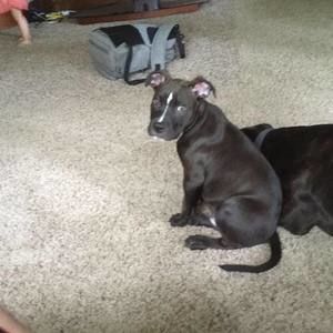 Meet your Posher, Brandon